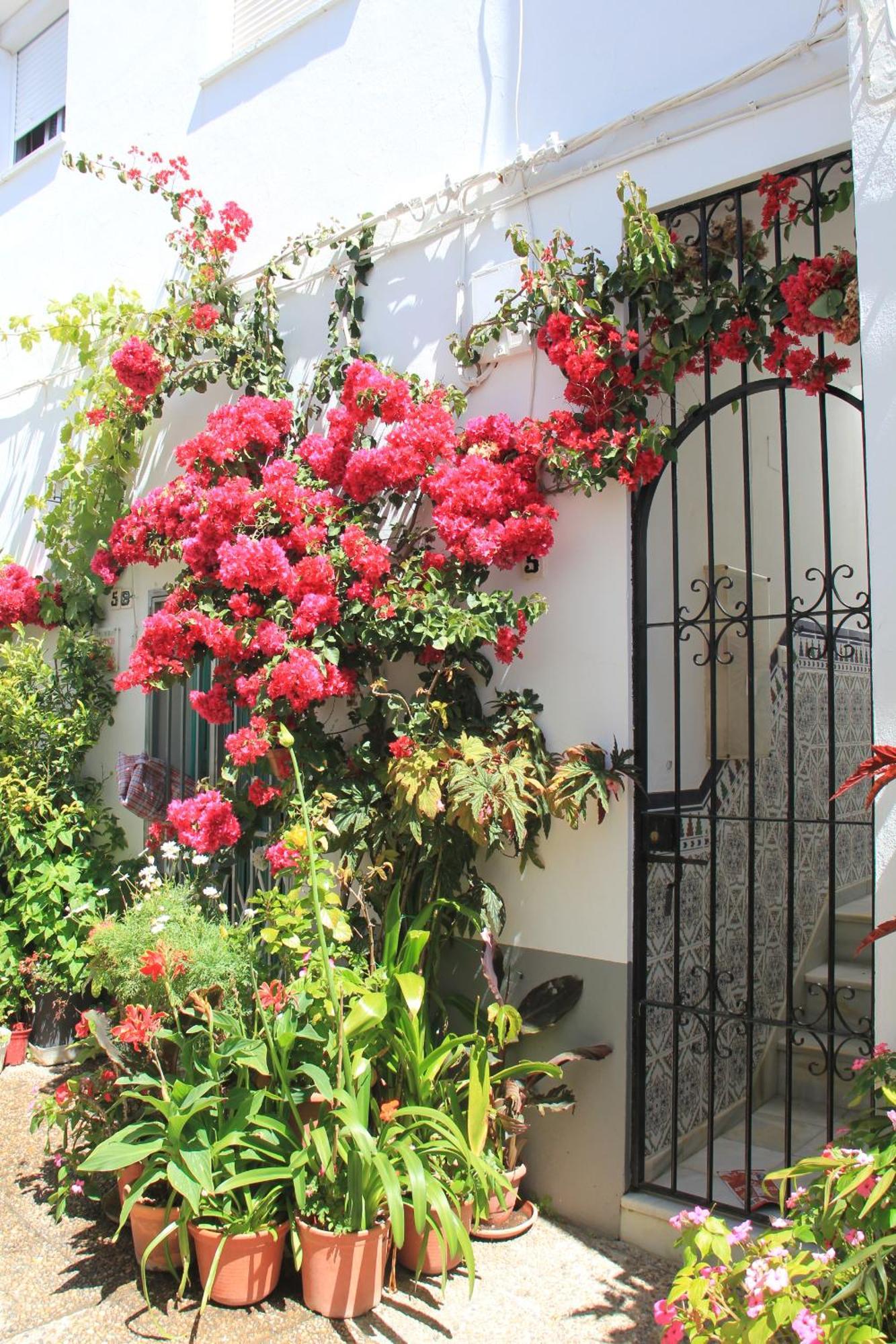 Casa Magallanes Conil Villa Conil De La Frontera Exteriör bild